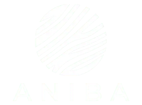 Aniba Digital